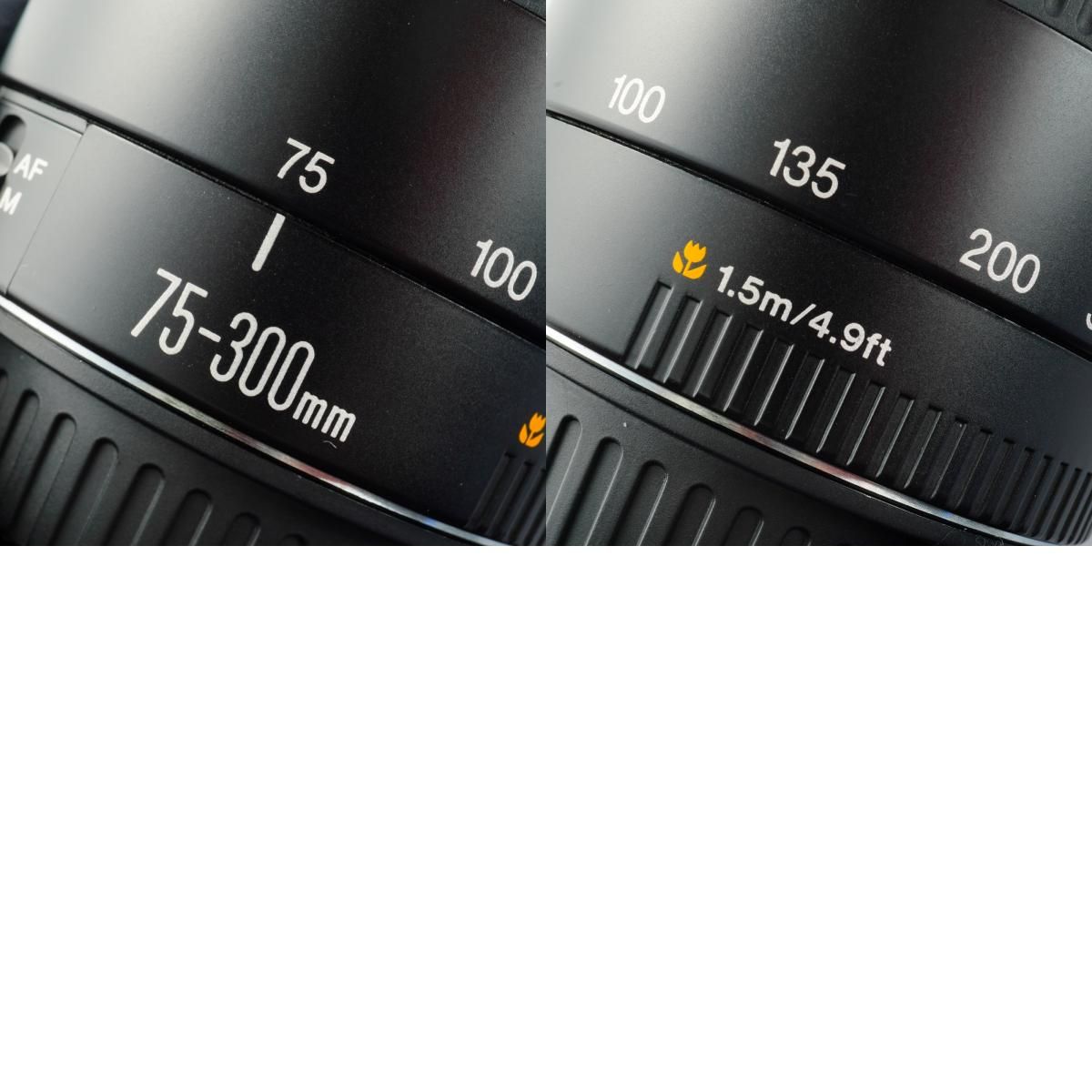 Canon キヤノン EF 75-300mm F/4-5.6 Ⅱ USM ズームレンズ Canon