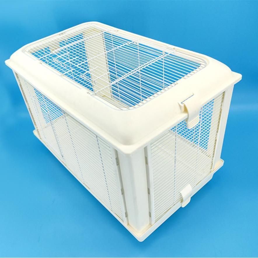 45掃除しやい天