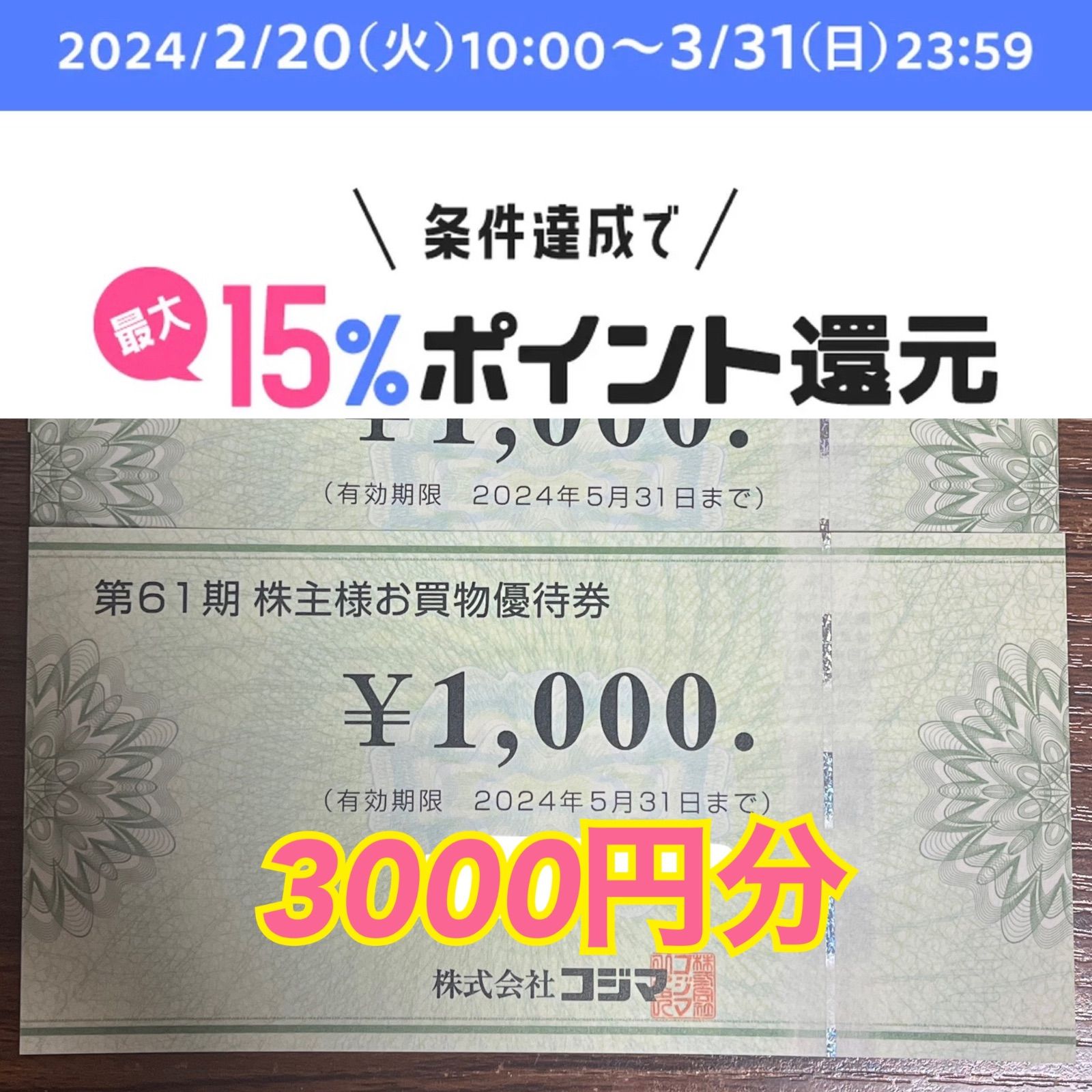 ビックカメラ 株主優待券 3000円分 【在庫あり】 - その他