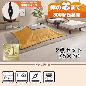 2営業日で発送 HAGIHARA 萩原 こたつ うす掛け布団 2点セット カルテス7560MGY ビケ7560YE 北海道 沖縄 離島配送不可