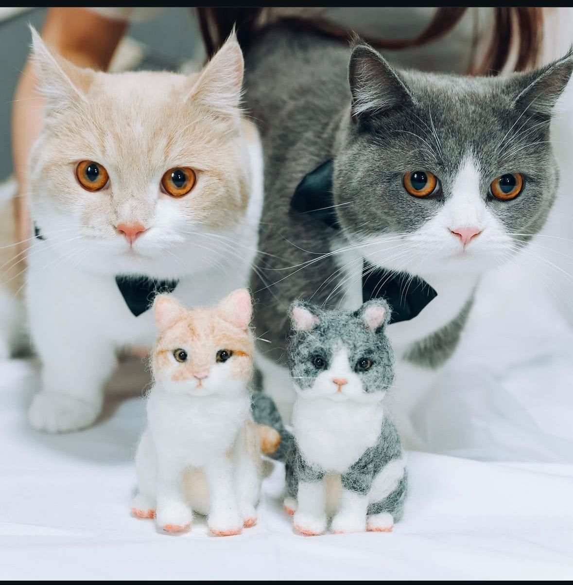 メモリアル羊毛ペット うちの子オーダー 羊毛フェルト ペット 犬 猫