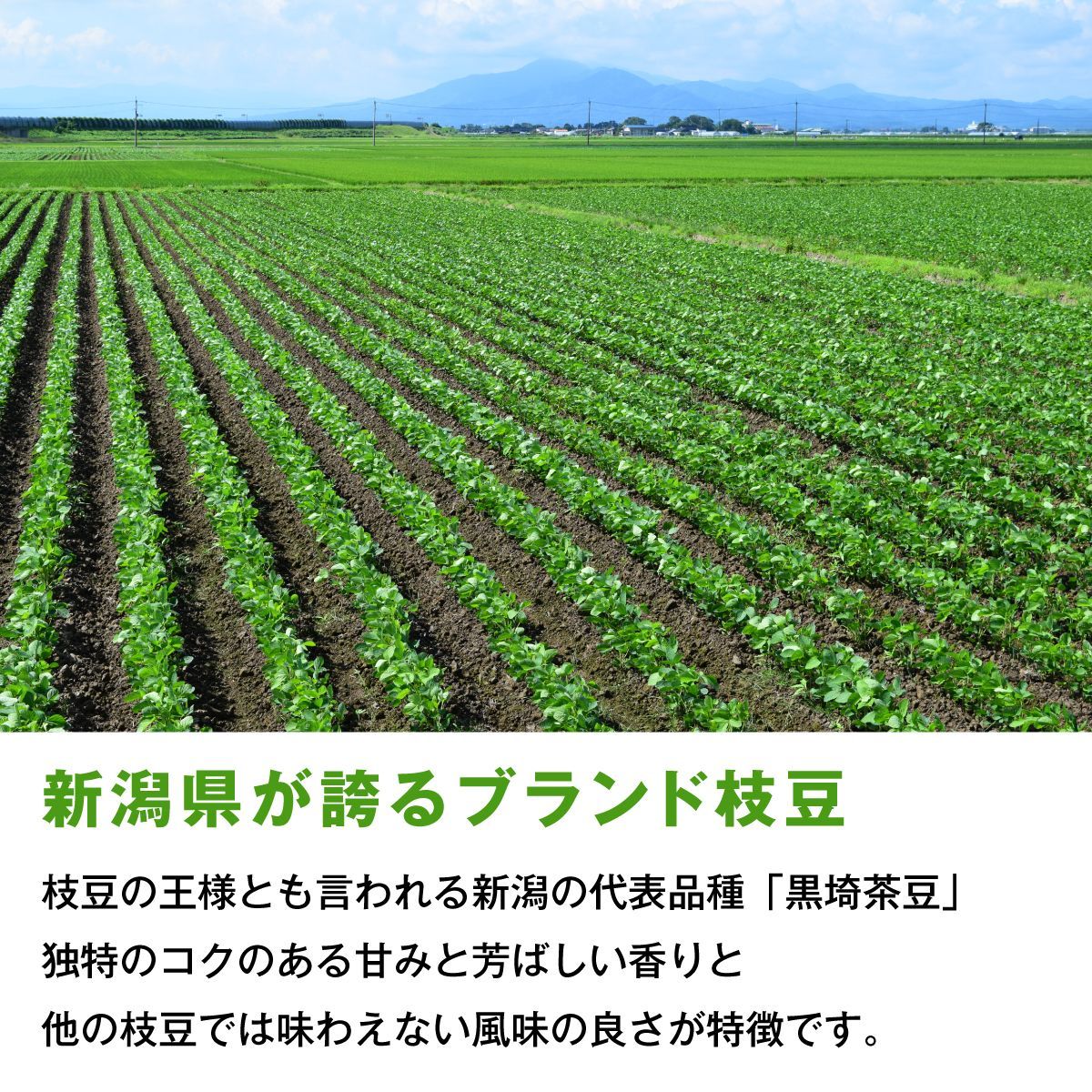 冷凍