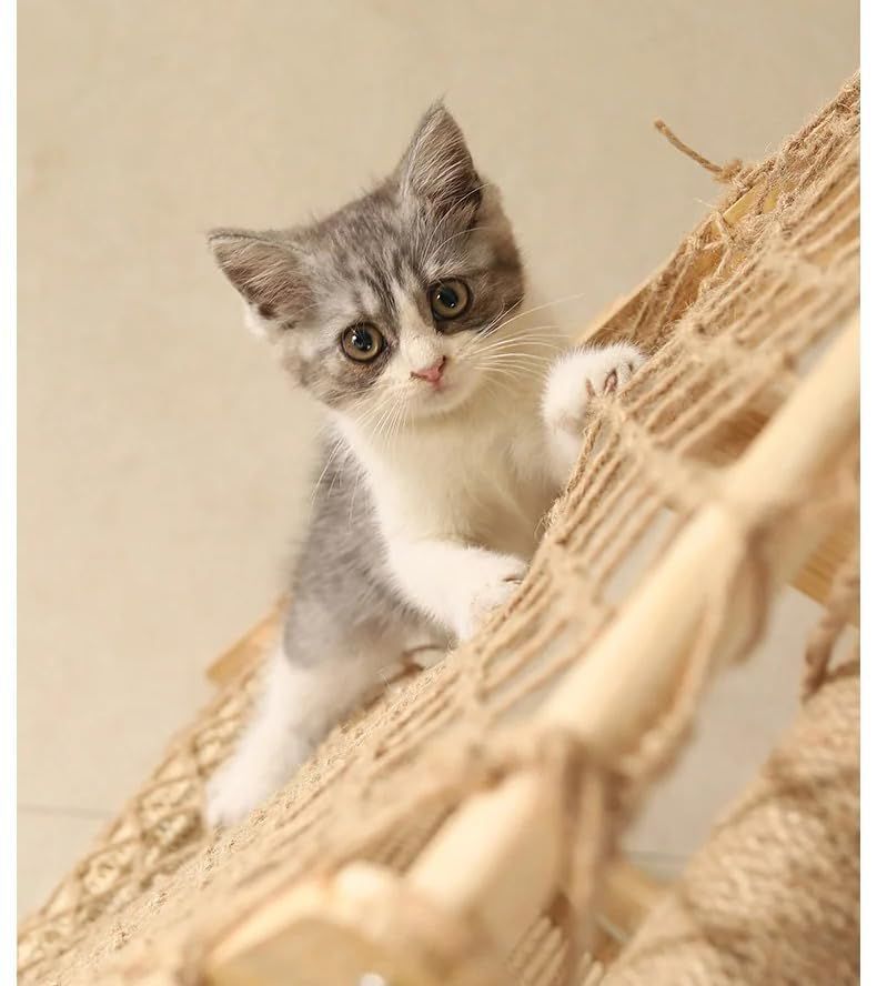 猫ハウス