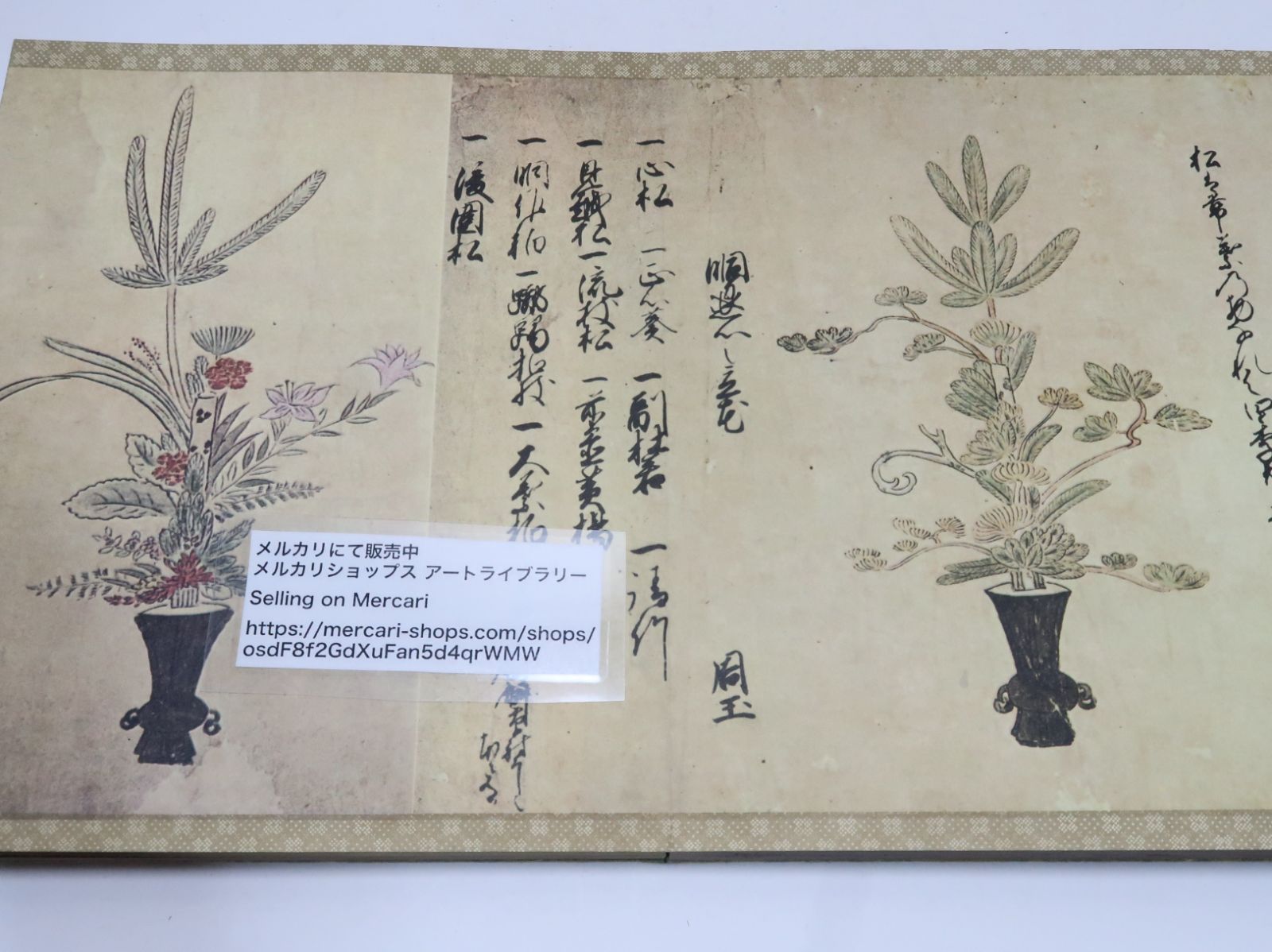 江戸時代池坊立華名作選集図 : 池坊学園図書館華道文庫蔵版 池坊専