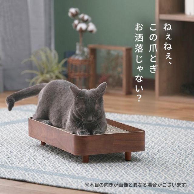 爪とぎ
