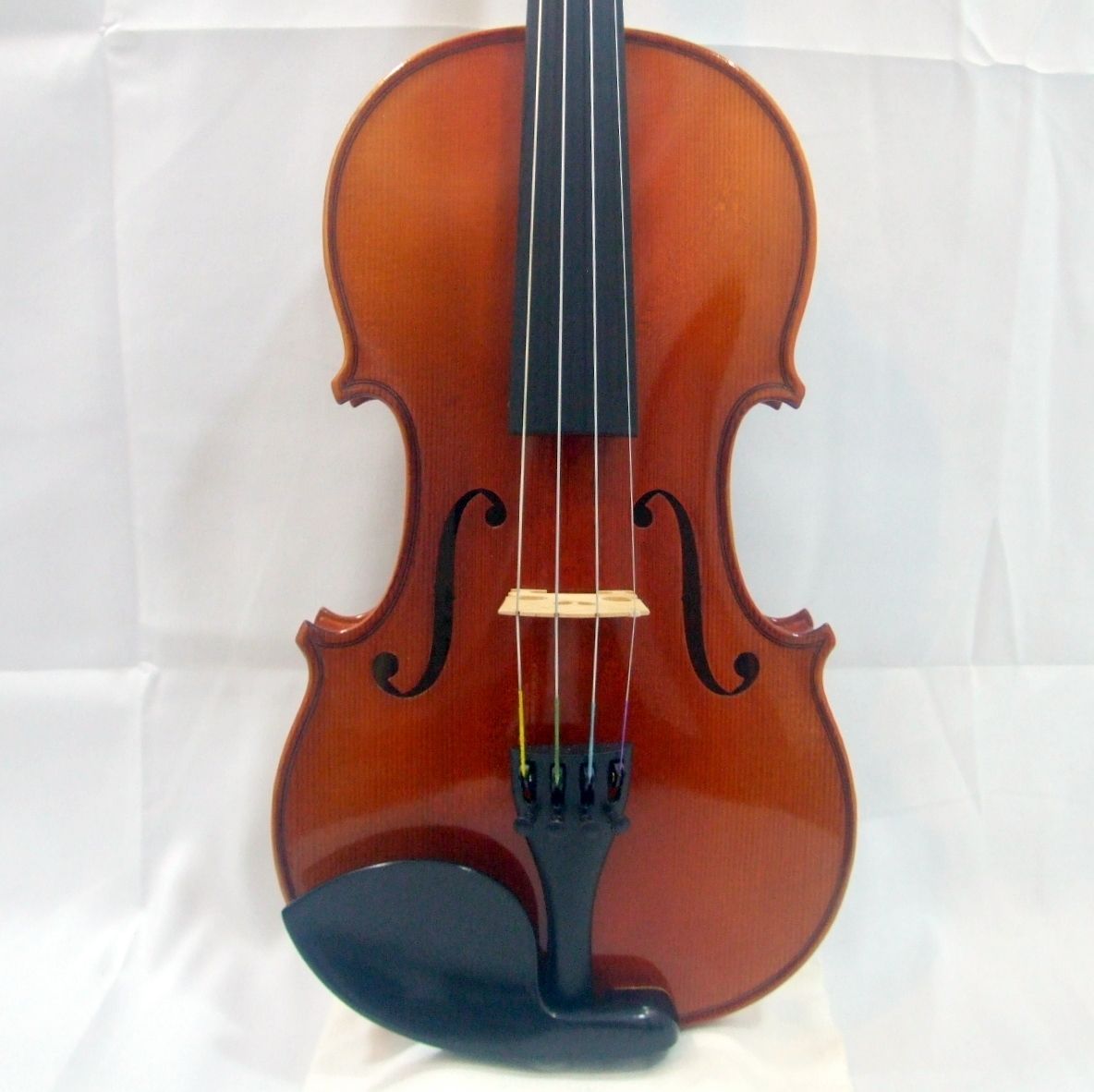 メンテ済み Roderich Paesold No 802 ドイツ製弓 パワフルな