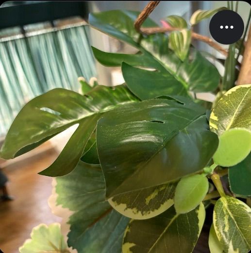 美品 3way 和風フェイクグリーン 和モダン ジャパンディ インテリア