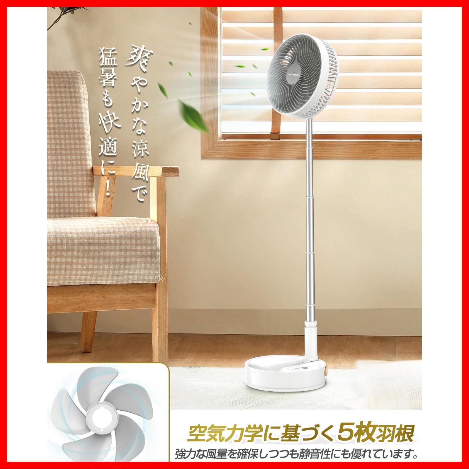 進化モデル