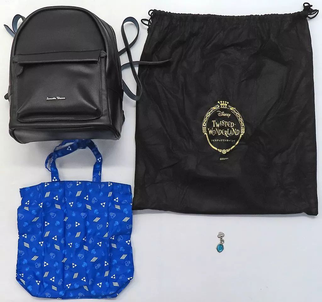 バッグ イグニハイド寮 シンプルリュック ディズニー ツイステッドワンダーランド×Samantha Thavasa 受注生産