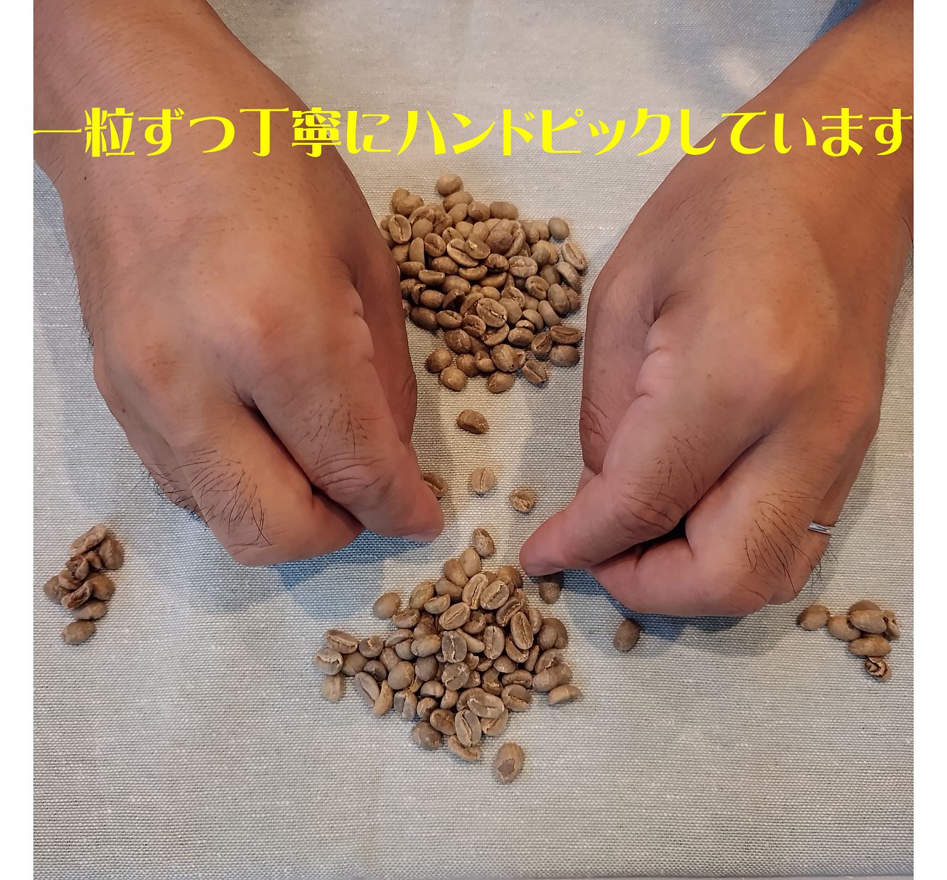 コーヒー生豆100g×8袋(ブラジル,コロンビア,グアテマラ,マンデリン