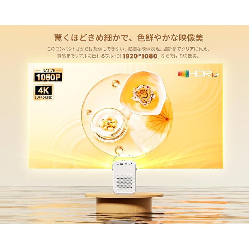 HiFiスピーカー|防塵|天井吊り|三脚対応|