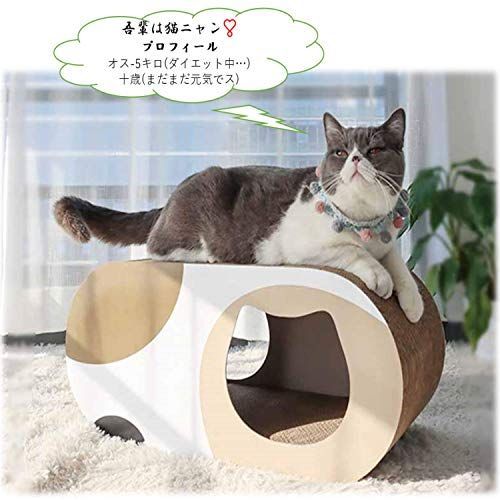 ランキング上位のプレゼント 新品 未使用 新品 Roomingcare 猫爪とぎ オシャレ 大型 つめとぎ トンネル版猫 猫用品 Lavacanegra Com Mx Lavacanegra Com Mx