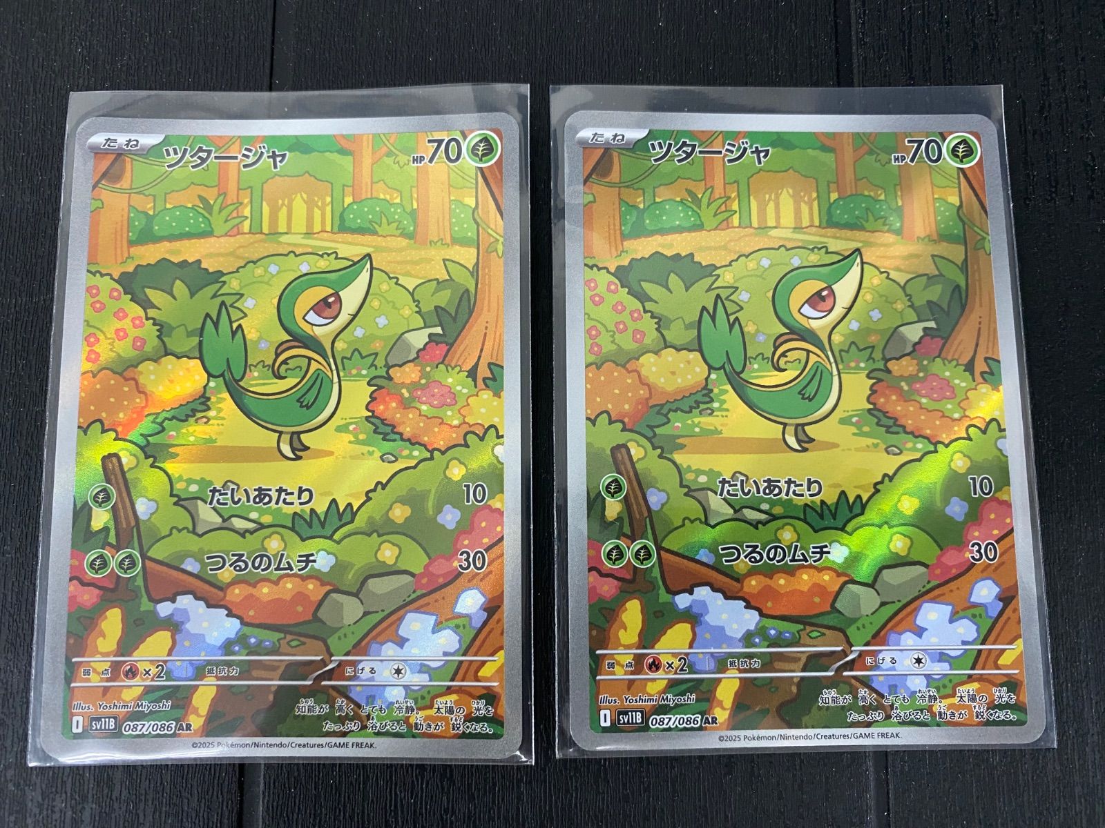 ポケモンカード ツタージャ AR 2枚セット - メルカリ