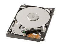 【中古】Toshiba MK3252GSX 320GB Hard Drive [並行輸入品]