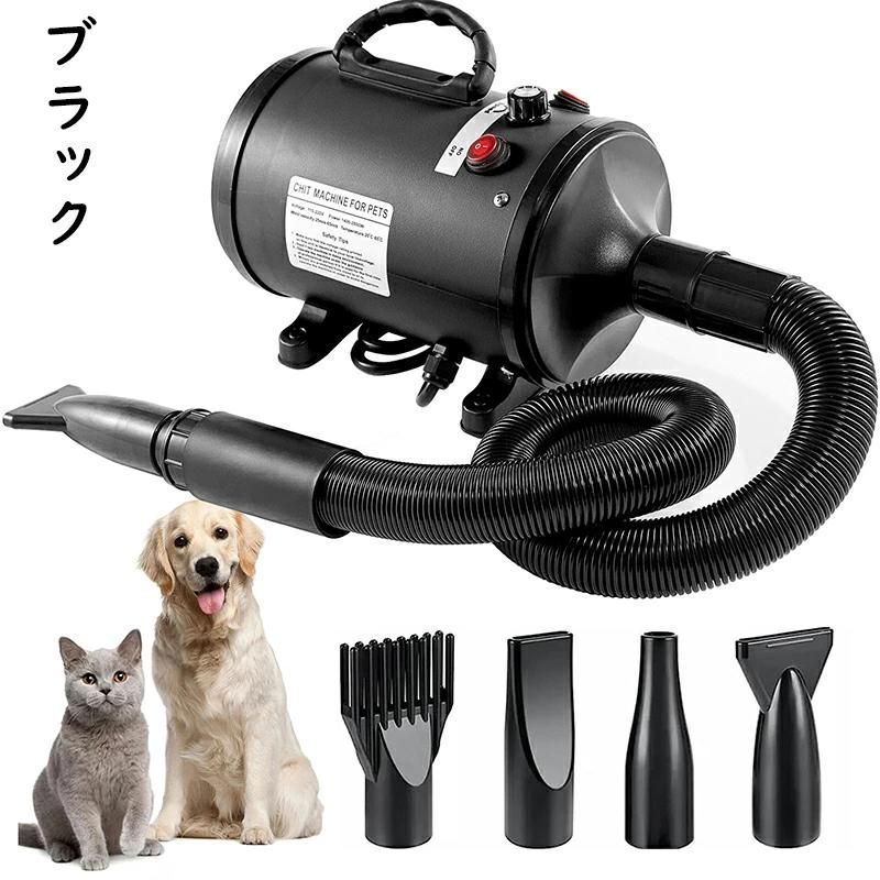 犬