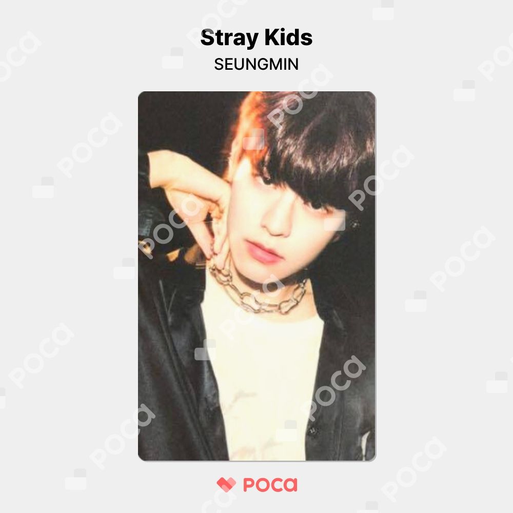 straykids フォトカードセット scars ソリクン Stray Kids】Scars ソリクン フォトカード セット - メルカリ