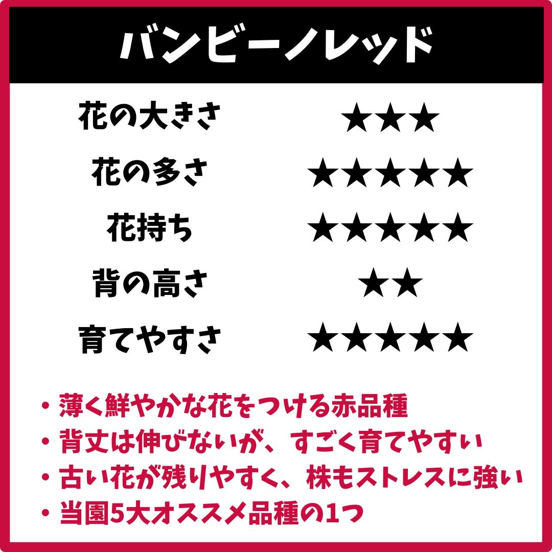 のサムネイル