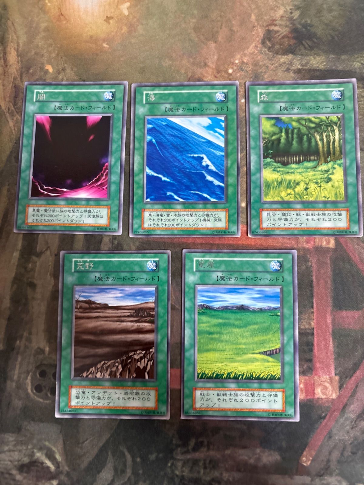 nv6 82 闇 海 森 荒野 草原 字レア 遊戯王 まとめ フィールド