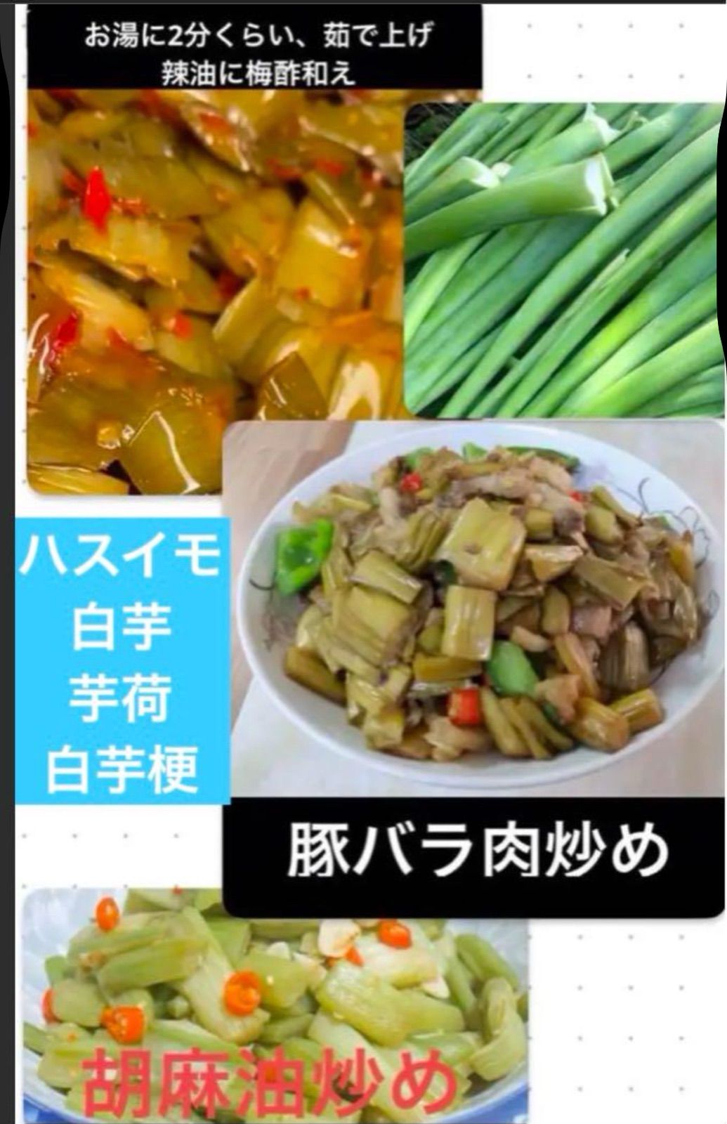 岐阜産 無消毒 自然栽培 白芋荷菜 白梗芋 dc mng bc h 芋茎 リュウキュウ ハスイモ 白芋苗 種芋 1100円