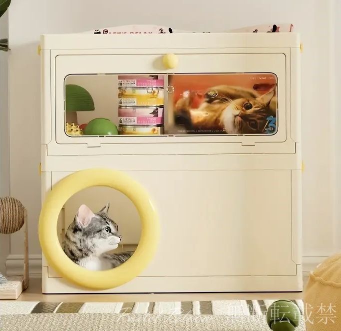 中型猫 大型猫
