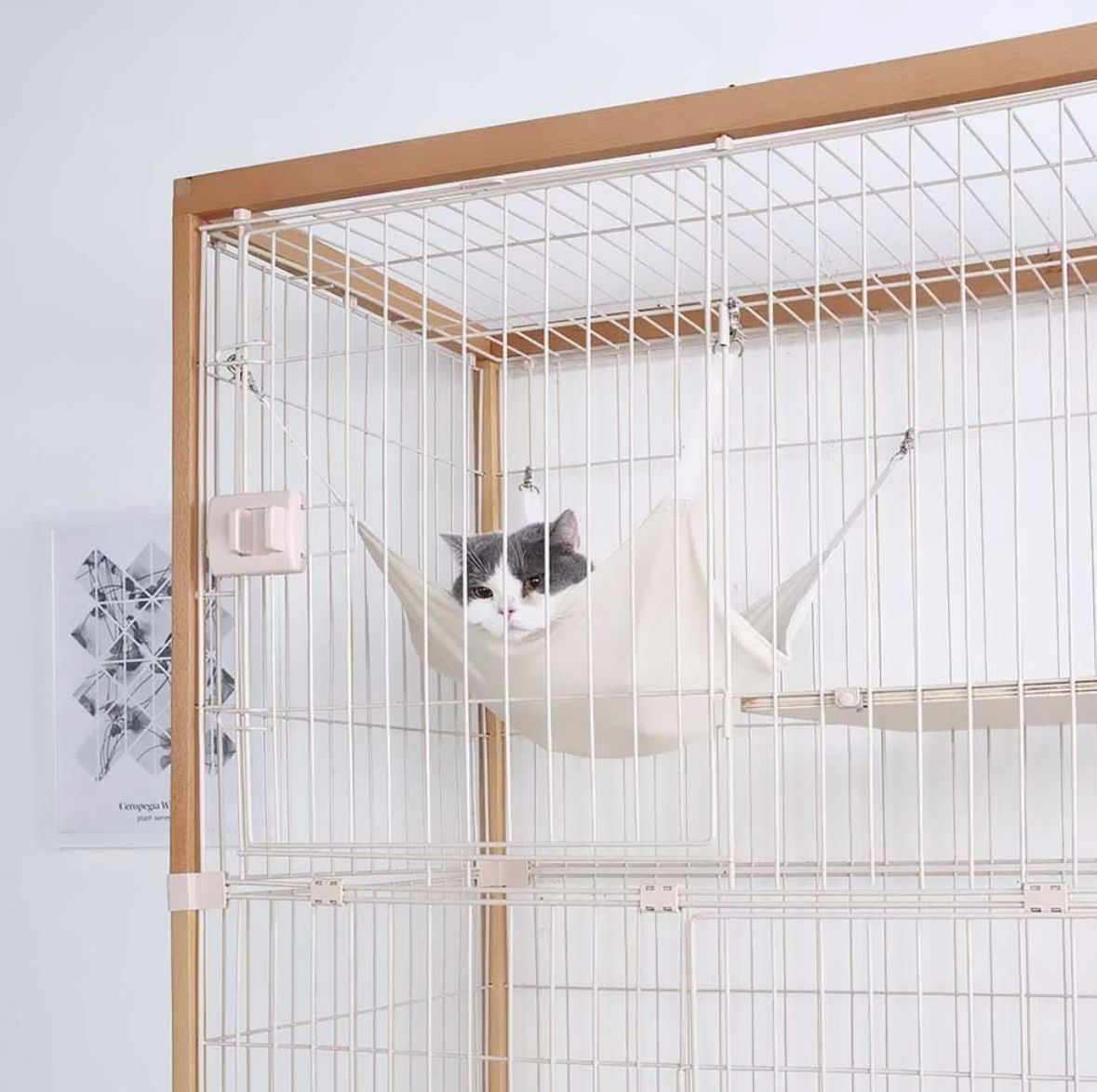 な猫穴付き