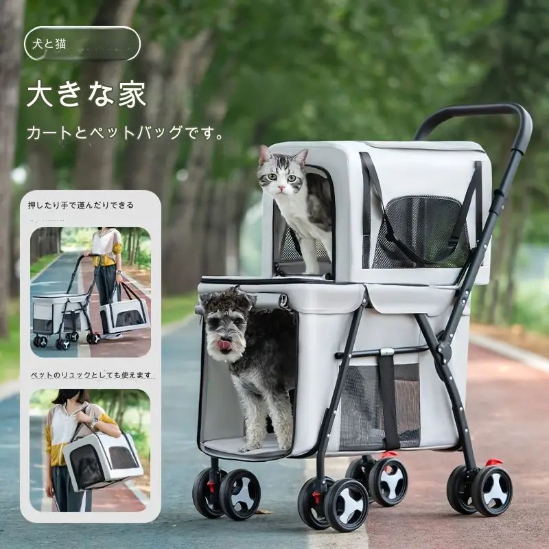 小型猫