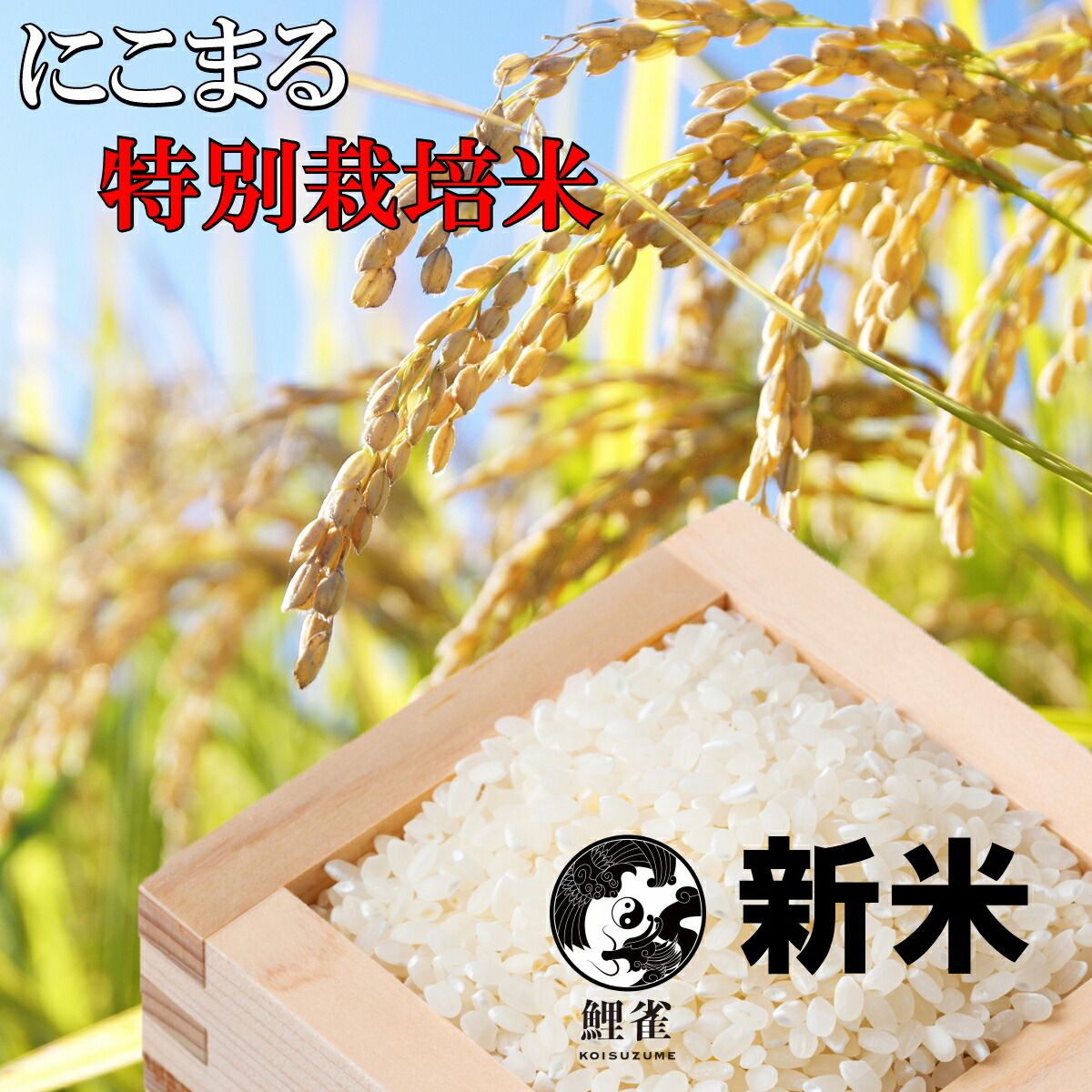 令和7年 新米 予約 玄米 熊本産 にこまる 30ｋｇ 10月発送予定 ミネラル農法 鯉雀 片瀬さんのお米 玄米30ｋｇ 玄米 30ｋｇ 米 30キロ 玄米 30キロ 米 30ｋｇ