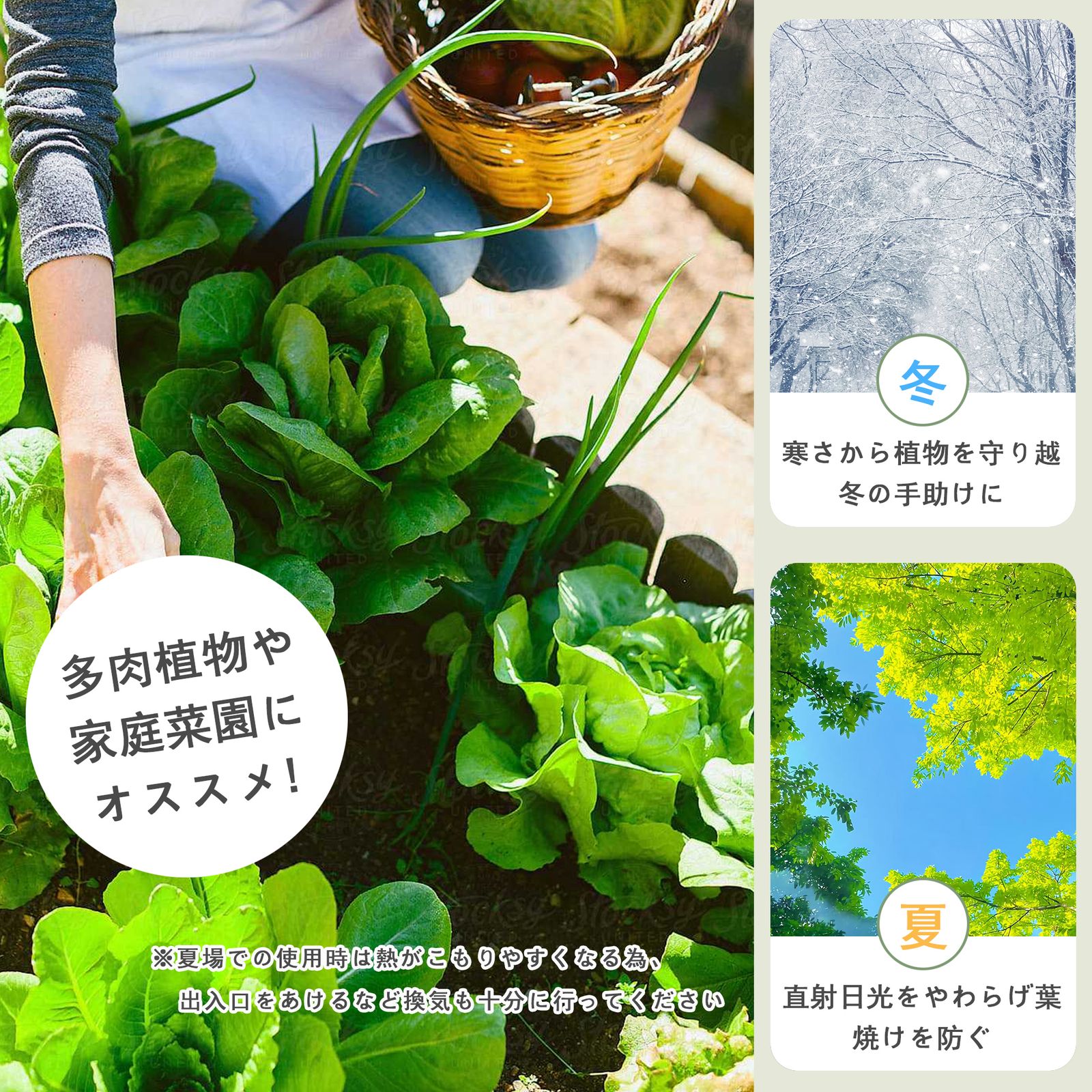 ビニール温室 大型 220×120×215cm カバー付き 家庭用 ビニールハウス