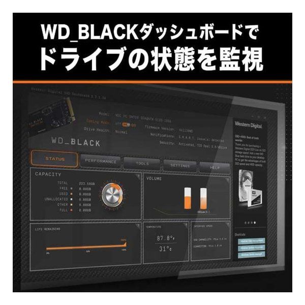 WDS200T4X0E