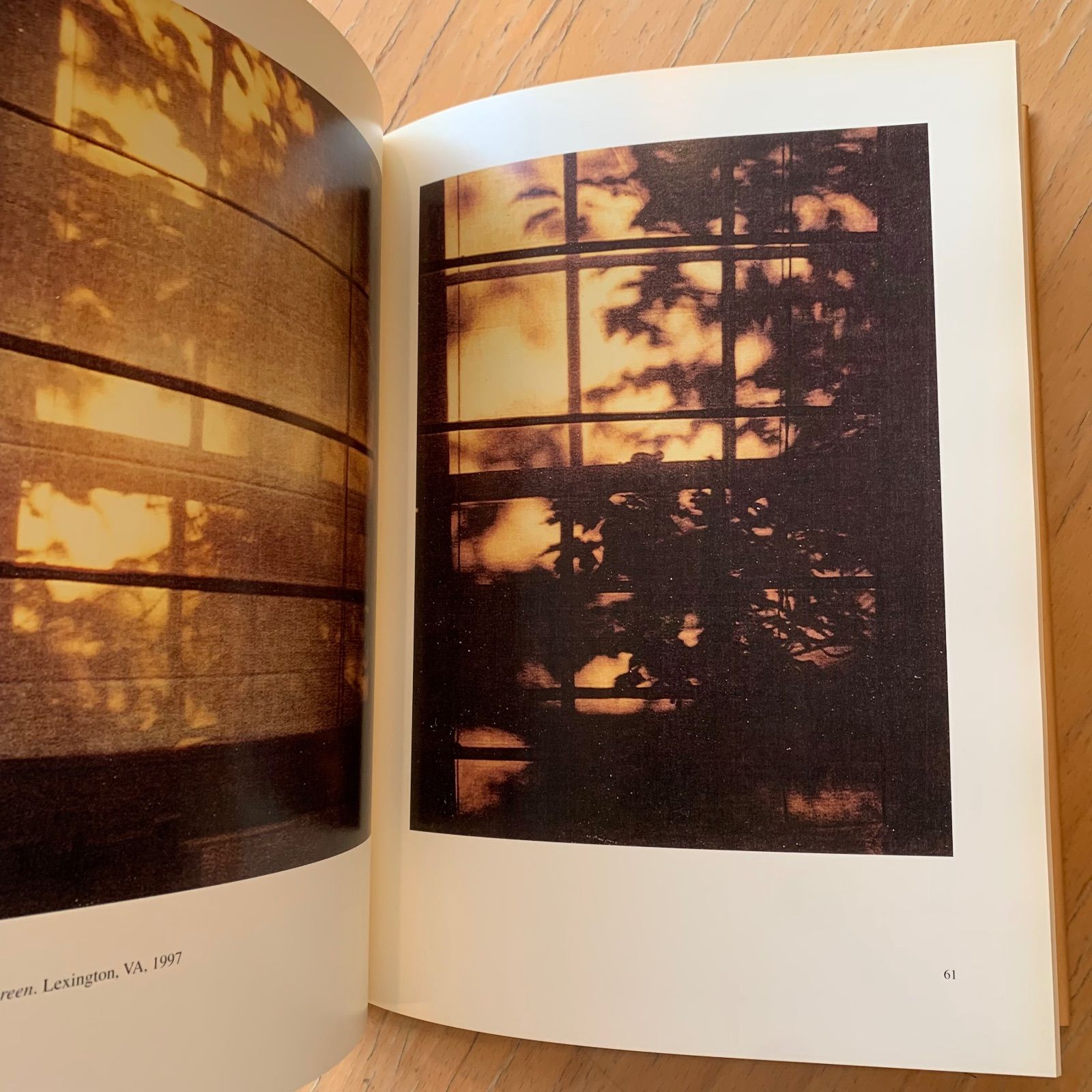 本 Cy Twombly サイ・トゥオンブリー Photographs 洋書 写真集