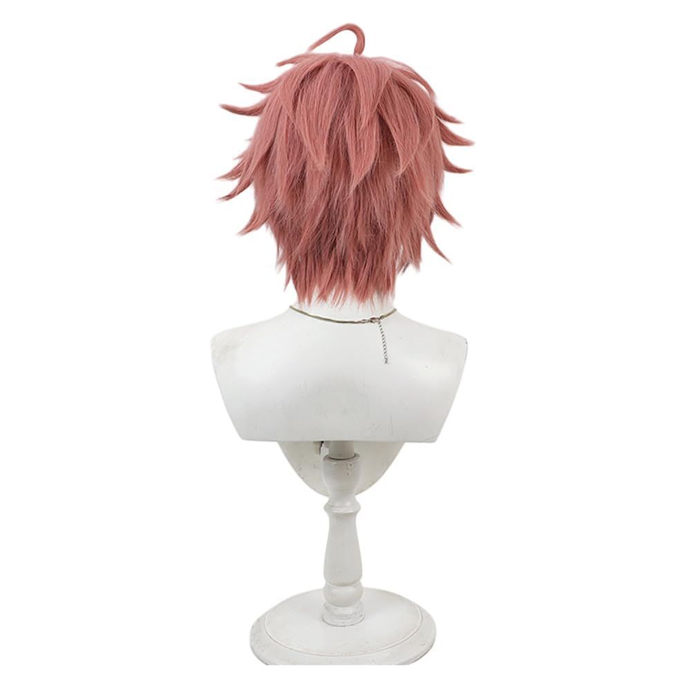 【数量限定】祭り 文化祭 耐熱 イベント 仮装 クリスマス wig ハロウィン ファッション cosplay 変装用 ネット付き コスチューム小物 コスプレ用小物 髪 (赤城ウェン アニメウィッグ コスプレウィッグ かつら 赤城文) ウィッグ REII TTY