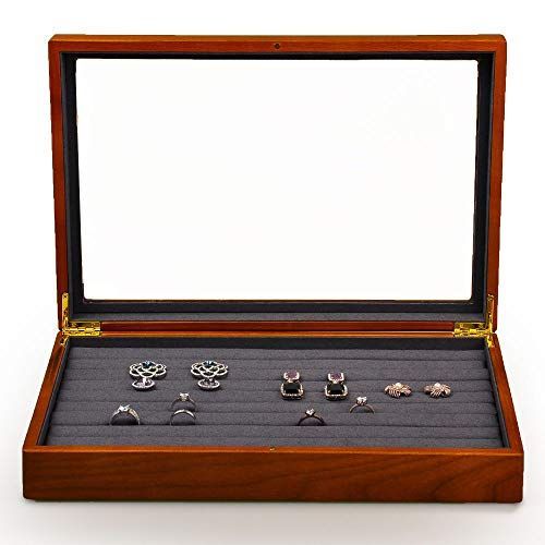 イングランド産 アンモナイト アステロセラス 母岩付き化石 採取カード