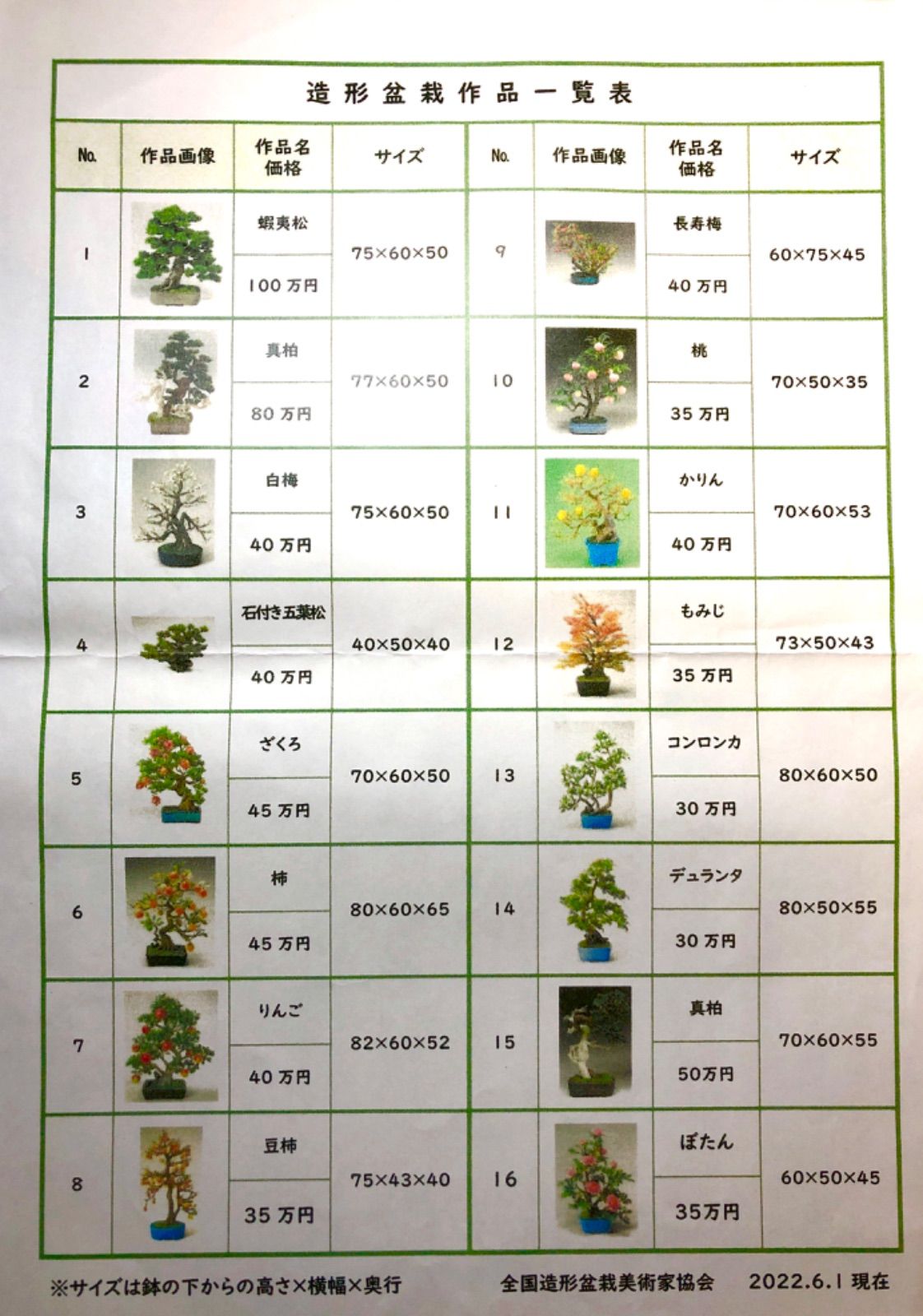 最新作 無骨なアイアン&ウッド飾り棚k イベント什器 ミニ盆栽 苔玉