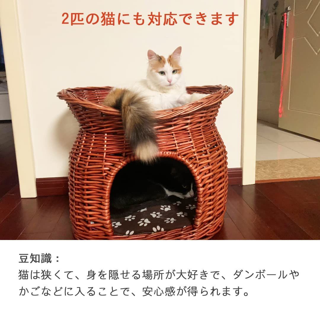 うさぎ