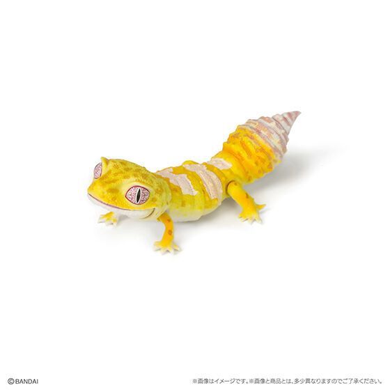 希少 2弾 いきもの大図鑑レプティ フトアゴヒゲトカゲ全5種 レオパードゲッコー いきもの大図鑑レプティ フトアゴヒゲトカゲ｜ガシャポン