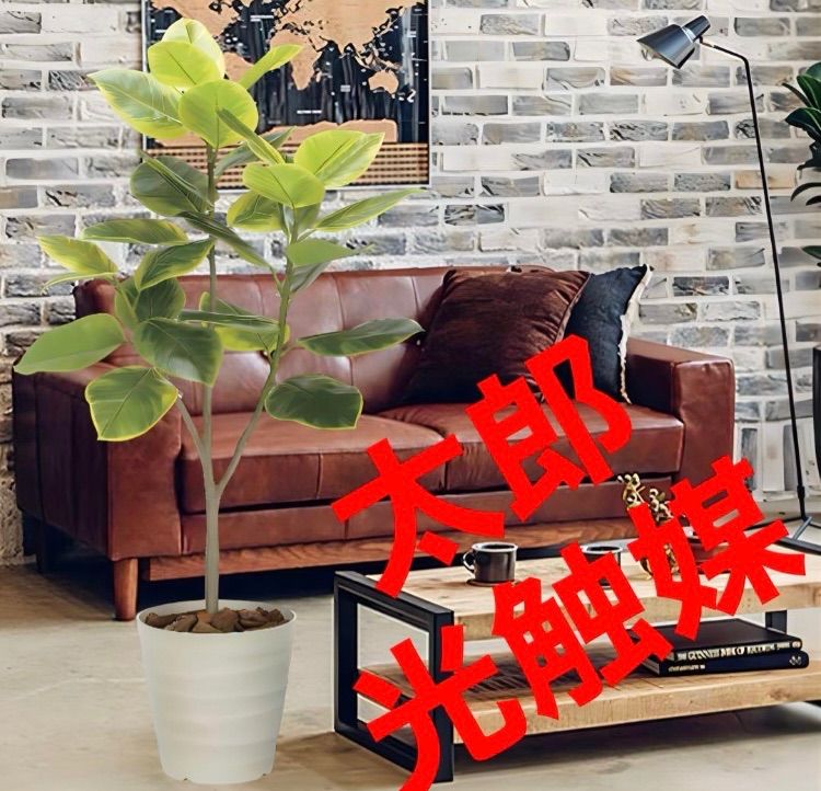 光の楽園 光触媒 人工観葉植物 ウォールグリーン フェイクグリーン  