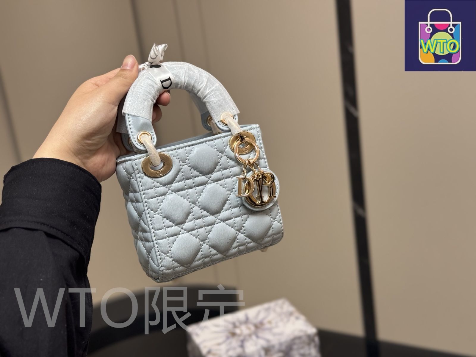 今日特価】Dior Lady Dior ミニ エディション-WTO輸入3 - メルカリ