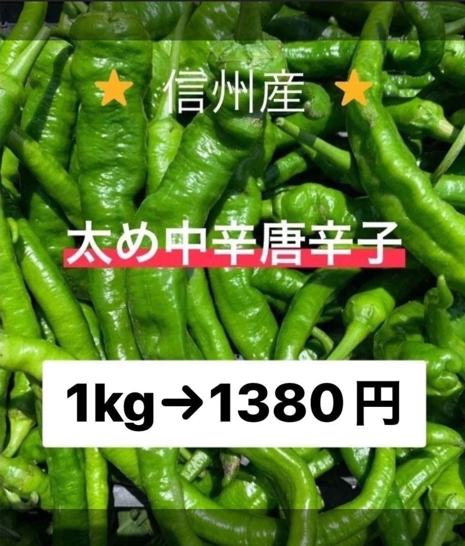 ※限定※ 激辛 青唐辛子 10kg 長野県産 信州 無農薬　産地直送 楽天市場】八ヶ岳 青唐辛子 生とうがらし 500g / 国産 山梨県産