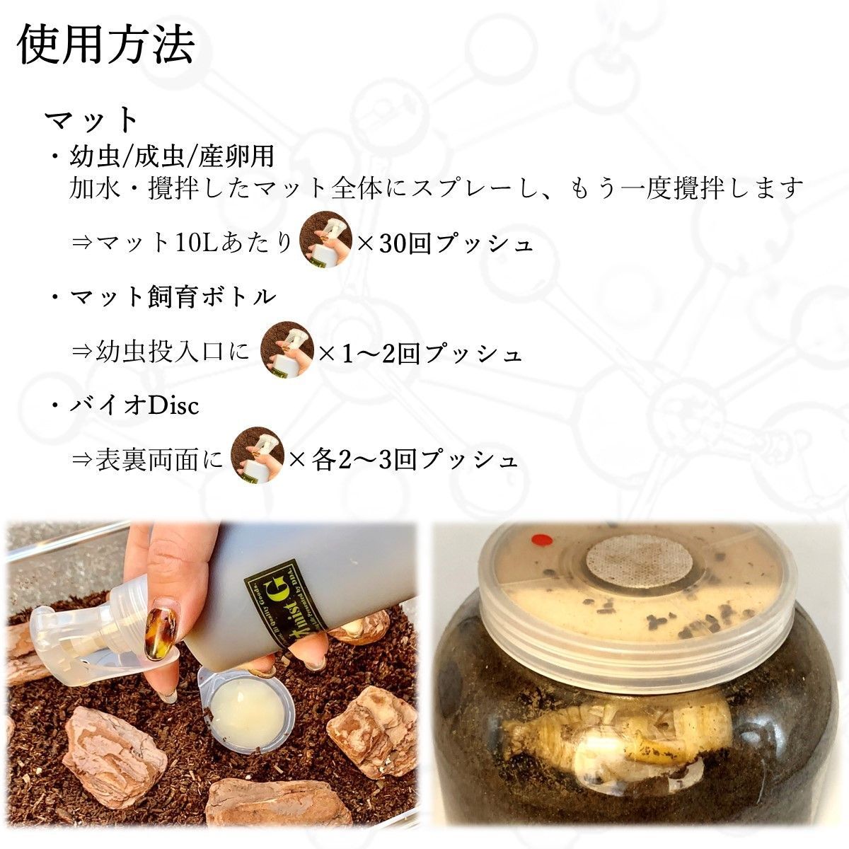 幼虫 蛹