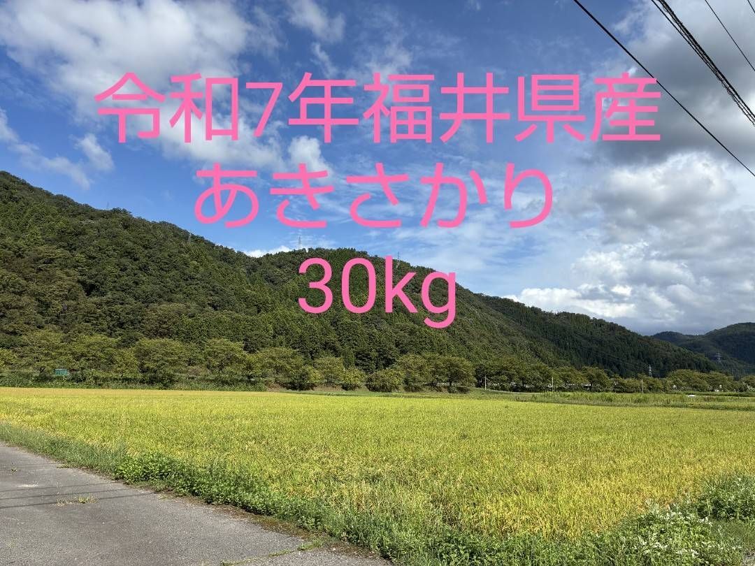 新米 令和7年福井県産 玄米あきさかり30キロ