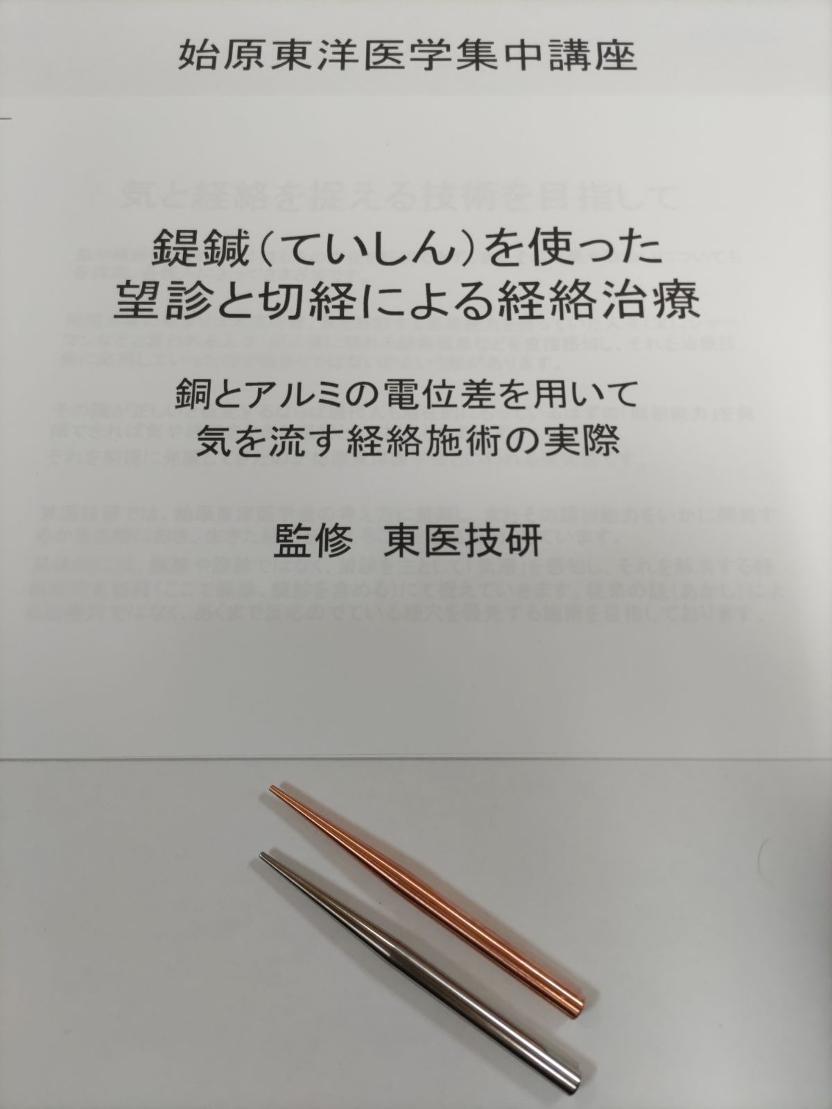 日本代理店正規品 現代式てい鍼 始原東洋医学解説付き | nongferndaddy.com