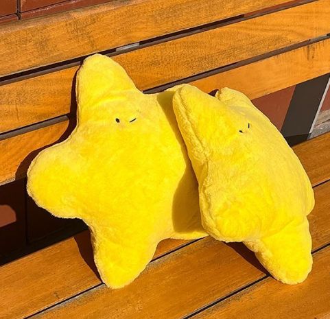 ぬいぐるみのかわいい星の抱き枕