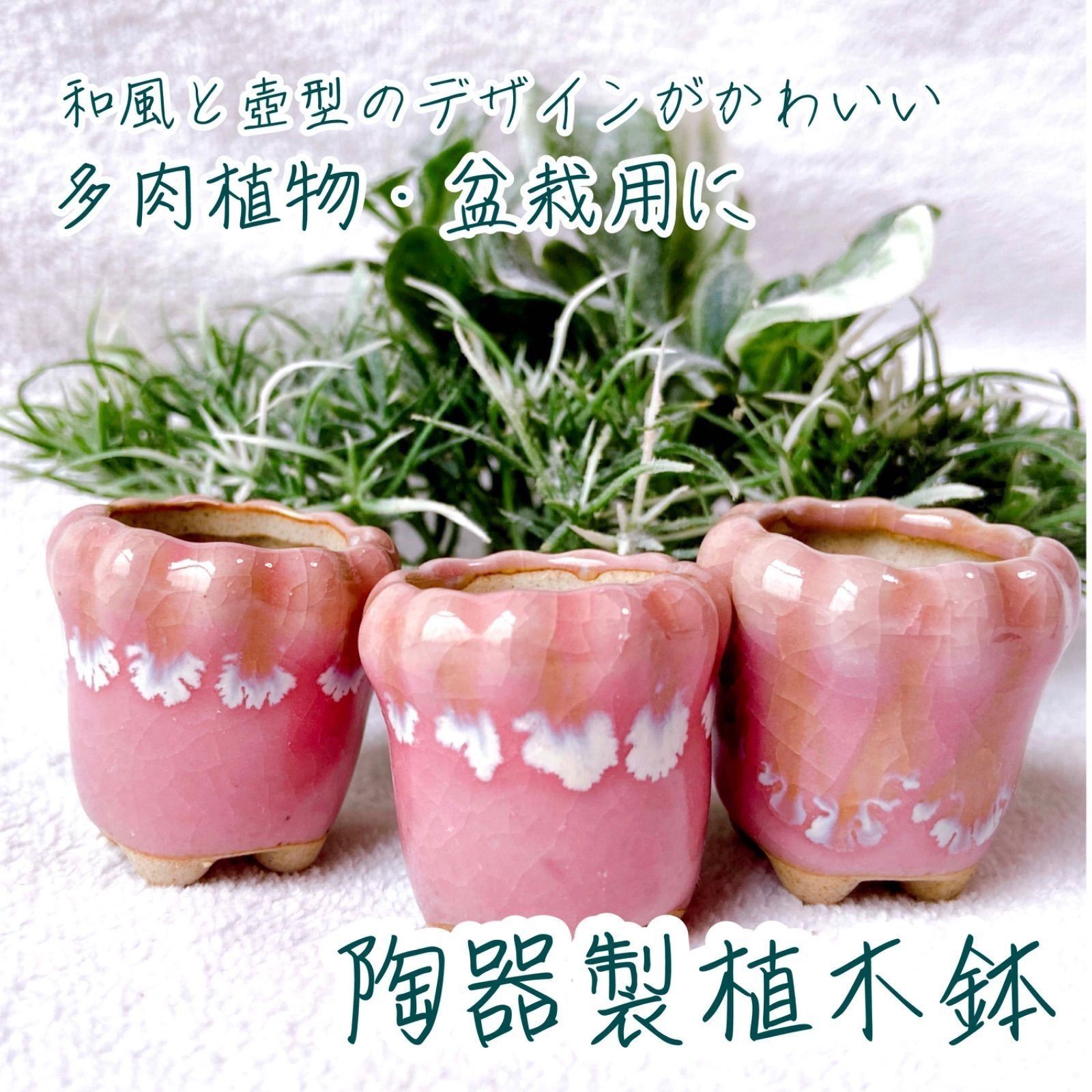 ミニチュアサイズの陶器製植木鉢 3点セット】 豆盆栽や苔盆栽などに 
