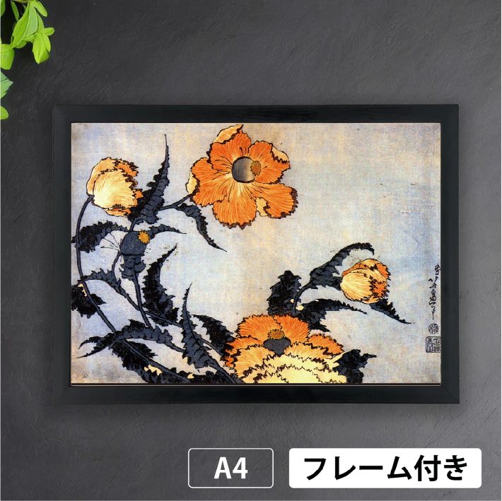 葛飾北斎「芥子」天保初期 花鳥画 江戸末期 神様 神話 日本画 アート