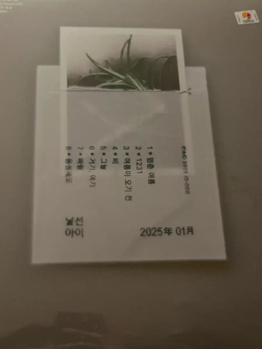 通常価格振替 によって書かれた JIUM ストレンジャー キッド lp 赤頬思春期 BOL4 ウー ジユン