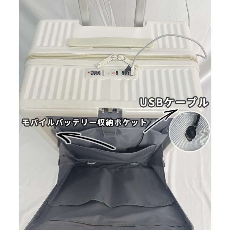機内持込