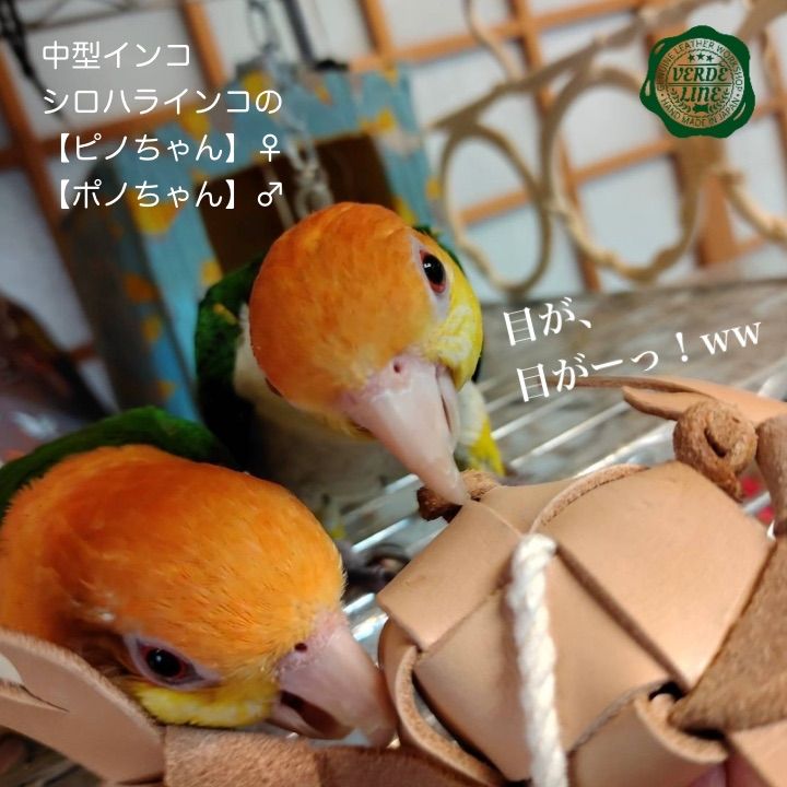 インコちゃんのカミカミおもちゃ☆ - 鳥用品