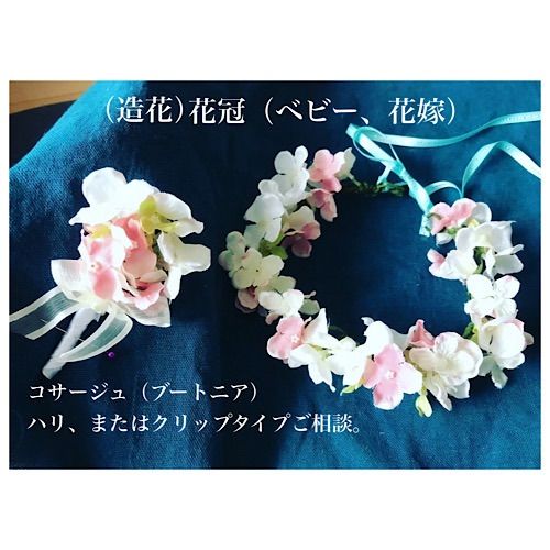 感謝SALEブルーウェーブとスターチスのリース ハイブリットスターチス