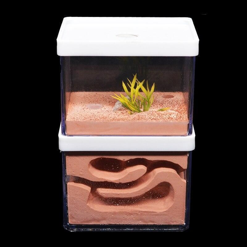 ケースセット 蟻