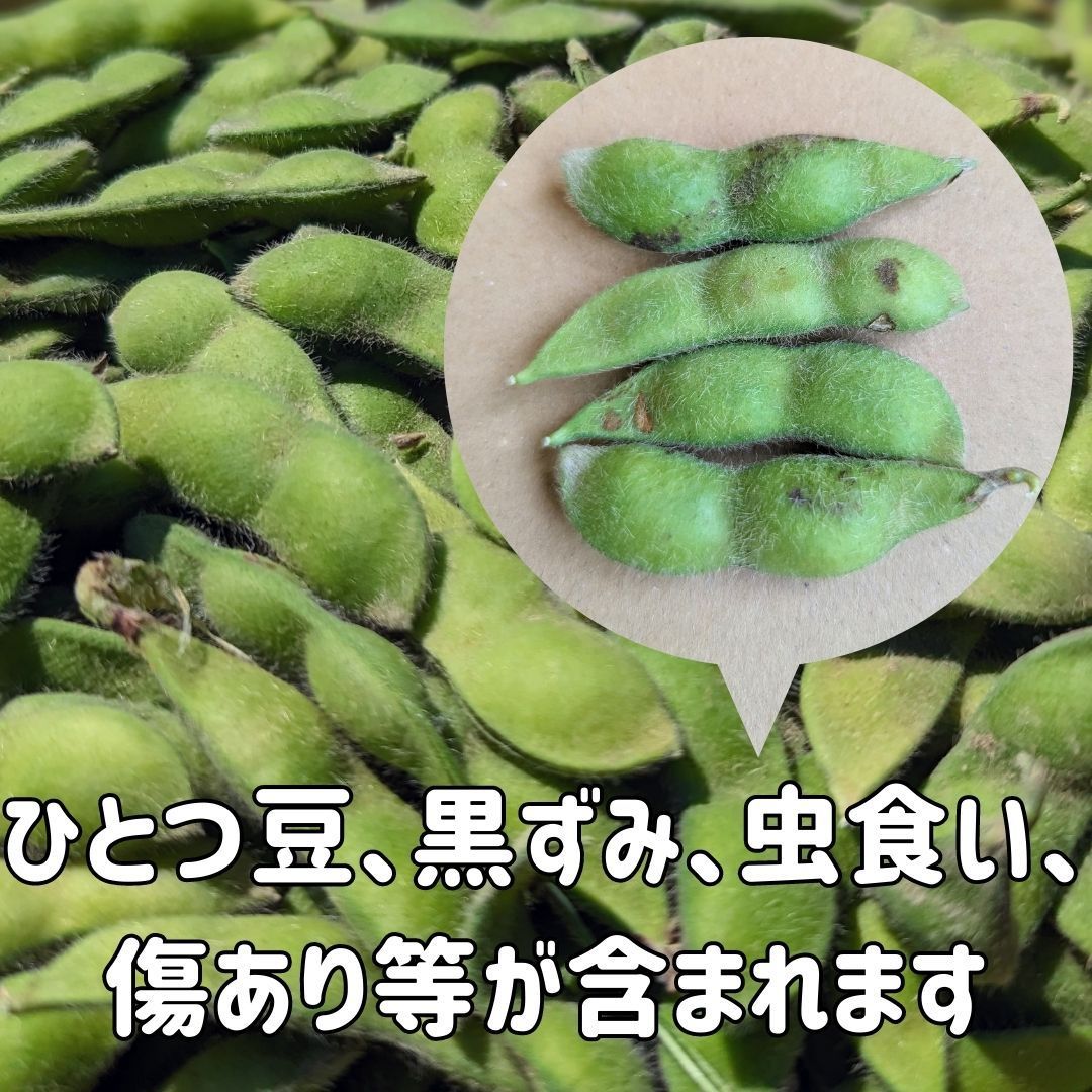 訳ありそら豆☆1キロ - 野菜